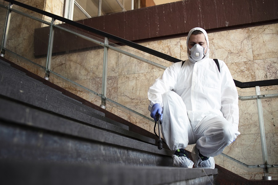 Top Rodent Control Services and Experts in Bakersfield